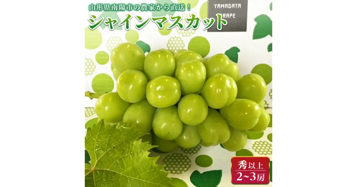 【ふるさと納税】 【令和7年産先行予約】 シャインマスカット 約1.5kg (2～3房 秀) 《令和7年9月中旬～発送》 『生産者おまかせ』 マスカット ぶどう 種なし 果物 フルーツ デザート 山形県 南陽市 [859]