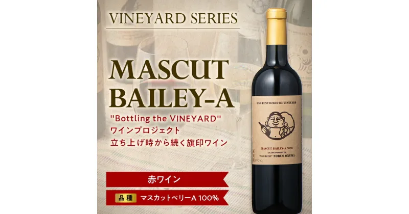 【ふるさと納税】 【南陽ワインプロジェクト】MASCUT BAILEY-A 750ml 赤ワイン 山形県 南陽市 [1298]