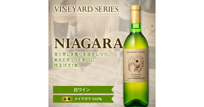 【ふるさと納税】 【南陽ワインプロジェクト】NIAGARA 750ml 白ワイン 山形県 南陽市 [1300]