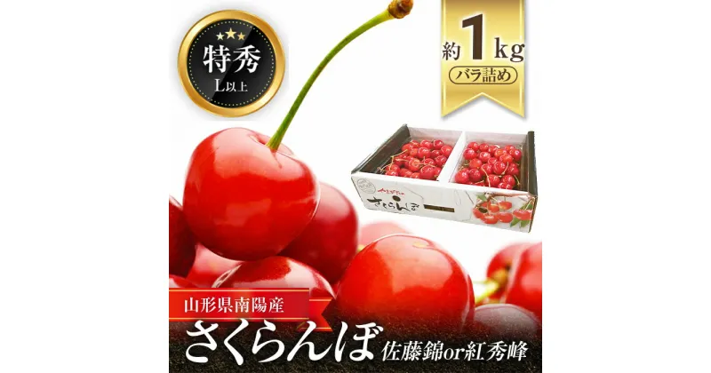 【ふるさと納税】 【令和7年産先行予約】 さくらんぼ 約1kg (特秀 L以上) 《令和7年6月中旬～発送》 『マルエ青果』 先行予約 サクランボ 果物 フルーツ 山形県 南陽市 [1115]