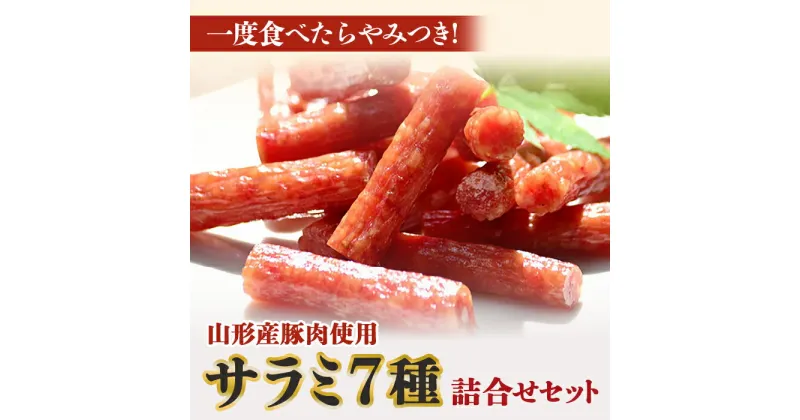 【ふるさと納税】 一度食べたらやみつき！ サラミ詰合せ 7種セット 約1.15kg 『(有)宮内ハム』 おつまみ おやつ 7種 セット 山形豚 豚肉 ポーク サラミ ジャーキー いか ベーコンジャーキー 珍味 お酒のお供 山形県 南陽市 [1]