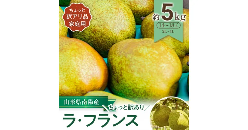 【ふるさと納税】 【令和6年産先行予約】 〈訳あり品 家庭用〉 ちょっと訳あり ラ・フランス 約5kg (14～18玉 2～4L) 《令和6年11月～発送》 『たけひさ農園』 ラフランス 西洋梨 洋なし 果物 フルーツ デザート 山形県 南陽市 [1089]