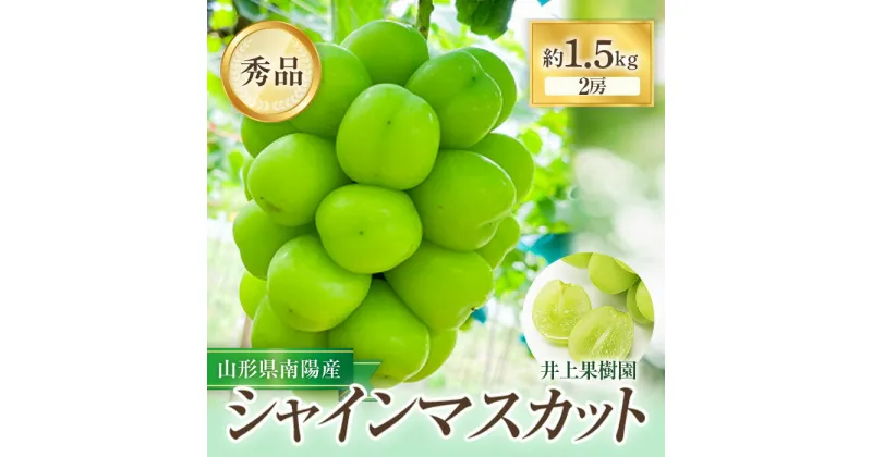 【ふるさと納税】 【令和7年産先行予約】 シャインマスカット 約1.5kg (2房 秀) 《令和7年9月中旬～発送》 『いのうえ果樹園』マスカット ぶどう 果物 フルーツ デザート 山形県 南陽市 [1312]