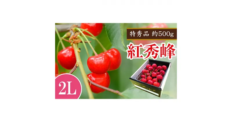 【ふるさと納税】 【令和7年産先行予約】 さくらんぼ 「紅秀峰」 約500g (特秀 2L) 《令和7年6月下旬～発送》 『マルエ青果』 先行予約 サクランボ 果物 フルーツ 山形県 南陽市 [1406]