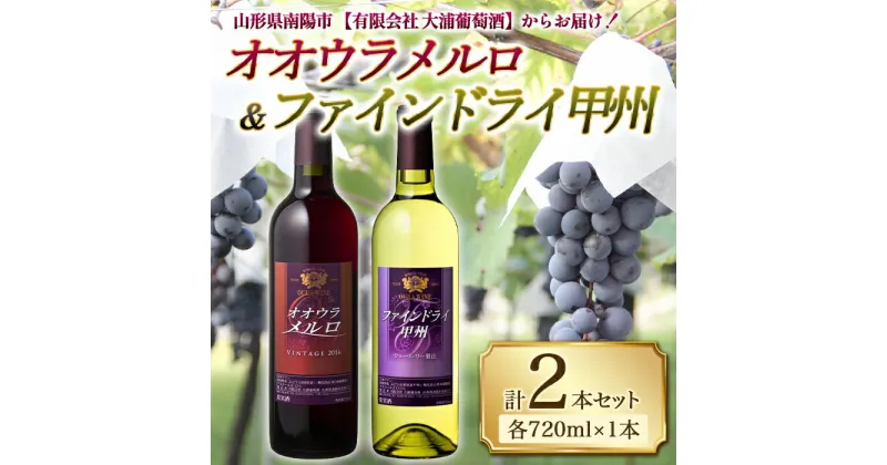 【ふるさと納税】 大浦葡萄酒 オオウラメルロ ＆ ファインドライ甲州 (各720ml×1本) 『(有)大浦葡萄酒』 山形県 南陽市 [1079]