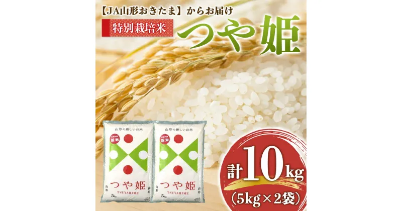 【ふるさと納税】 JA 特別栽培米 つや姫 10kg (5kg×2袋) 『JA山形おきたま』 米 精米 山形県 南陽市 [639]