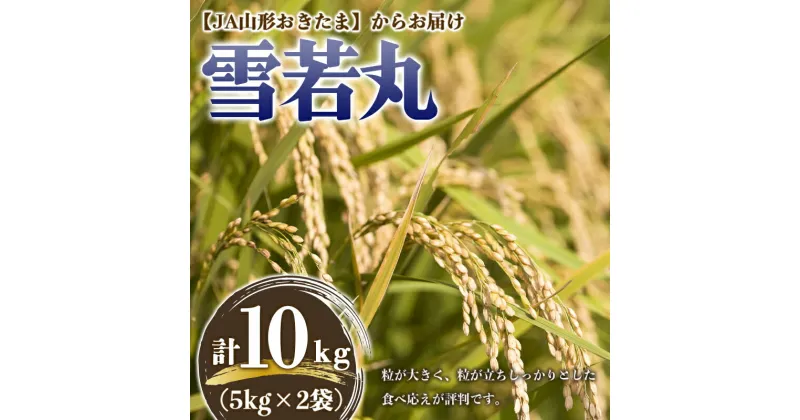 【ふるさと納税】 JA 雪若丸 10kg (5kg×2袋) 『JA山形おきたま』 米 精米 山形県 南陽市 [843]