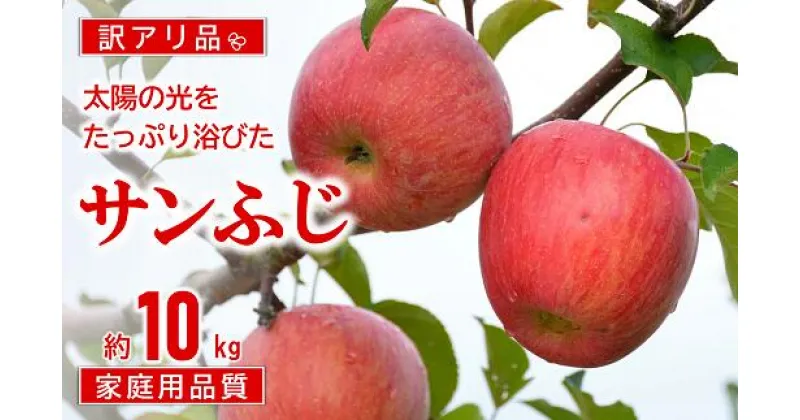 【ふるさと納税】 【令和6年産先行予約】 〈訳あり品 家庭用〉 JA りんご 「サンふじ」 約10kg (28玉～46玉) 《令和6年11月中旬～12月中旬発送》 『JA山形おきたま』 山形県 南陽市 [1410]