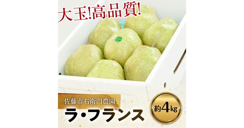 【ふるさと納税】【令和6年産先行予約】 十三代目 佐藤市右衛門 特大玉 ラ・フランス 約4kg (7玉 秀) 《令和6年11月上旬～発送》 『旬の果実 佐藤市右衛門農園』 ラフランス 西洋梨 洋なし 果物 フルーツ 産地直送 生産農家直送 山形県 南陽市 [678]