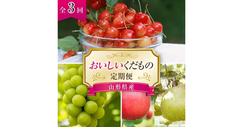 【ふるさと納税】 【令和7年産先行予約】 《定期便3回》 おいしいくだもの定期便 『最上屋』 旬 果物 フルーツ 定期便 食べ比べ さくらんぼ ぶどう 西洋梨 洋なし りんご 佐藤錦 シャインマスカット ラ・フランス ふじ 山形県 南陽市 [995-R7]