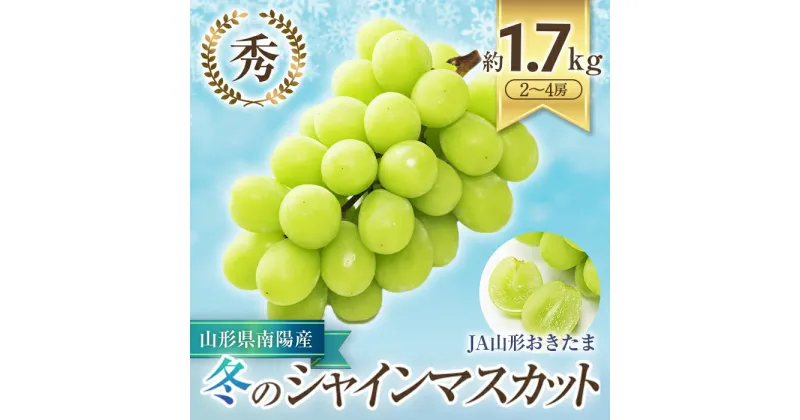 【ふるさと納税】 【令和6年産先行予約】 JA 冬のシャインマスカット 約1.7kg (2～4房 秀) 《令和6年12月中旬～下旬発送》 『JA山形おきたま』 山形県 南陽市 [821]