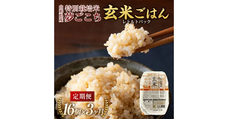 【ふるさと納税】 《定期便3回》 特別栽培米 夢ごこち レトルトパック 【玄米ごはん】 160g×16個×3か月 『(株)黒澤ファーム』 山形県 南陽市 [1709]