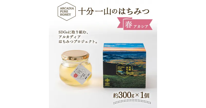 【ふるさと納税】 十分一山のはちみつ（約300g×1個）春採れ［ ARCADIA PURE HONEY ］SDGsに取り組むアルカディアはちみつプロジェクト [1727]