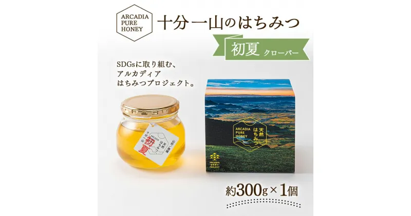 【ふるさと納税】 十分一山のはちみつ（約300g×1個）初夏採れ［ ARCADIA PURE HONEY ］SDGsに取り組むアルカディアはちみつプロジェクト [1746]