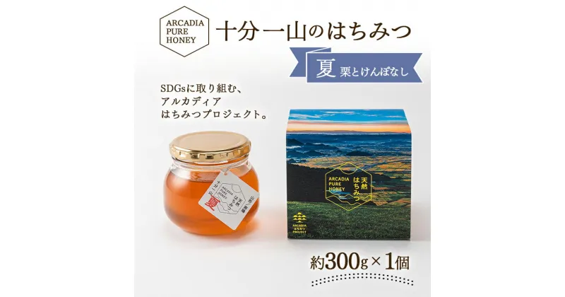 【ふるさと納税】 十分一山のはちみつ（約300g×1個）夏採れ［ ARCADIA PURE HONEY ］SDGsに取り組むアルカディアはちみつプロジェクト [1747]