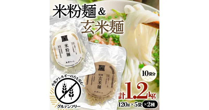 【ふるさと納税】 米粉麺・玄米麺 合計1.2kg (各120g×5袋) 『(株)黒澤ファーム』 山形県 南陽市 [1768]