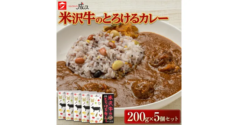 【ふるさと納税】 米沢牛のとろけるカレー (200g×5個セット) 『スパイスキッチン成ス』 山形県 南陽市 [1796]