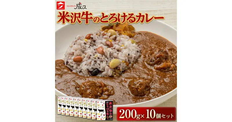 【ふるさと納税】 米沢牛のとろけるカレー (200g×10個セット) 『スパイスキッチン成ス』 山形県 南陽市 [1798]