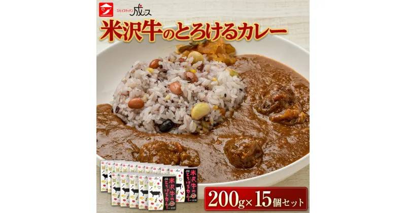 【ふるさと納税】 米沢牛のとろけるカレー (200g×15個セット) 『スパイスキッチン成ス』 山形県 南陽市 [1799]