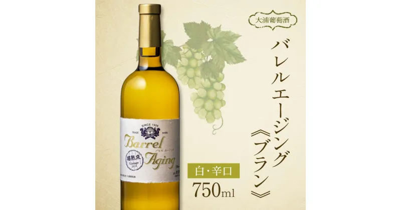 【ふるさと納税】 【日本ワインコンクール2023受賞ワイン】 大浦葡萄酒 バレル エージング(ブラン) 750ml×1本 『(有)大浦葡萄酒』 白ワイン 辛口 山形県 南陽市 [1897]