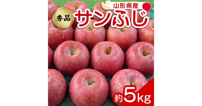 【ふるさと納税】 【令和6年産先行予約】 りんご 「サンふじ」 約5kg (12～23玉 秀品) 《令和6年12月上旬～令和7年2月下旬発送》 『カネタ高橋青果』 リンゴ 山形県 南陽市 [1960]