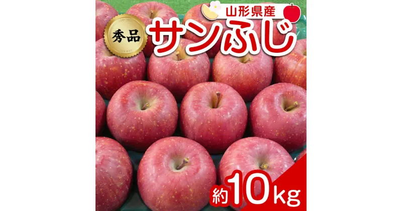 【ふるさと納税】 【令和6年産先行予約】 りんご 「サンふじ」 約10kg (24～46玉 秀品) 《令和6年12月上旬～令和7年2月下旬発送》 『カネタ高橋青果』 リンゴ 山形県 南陽市 [1961]