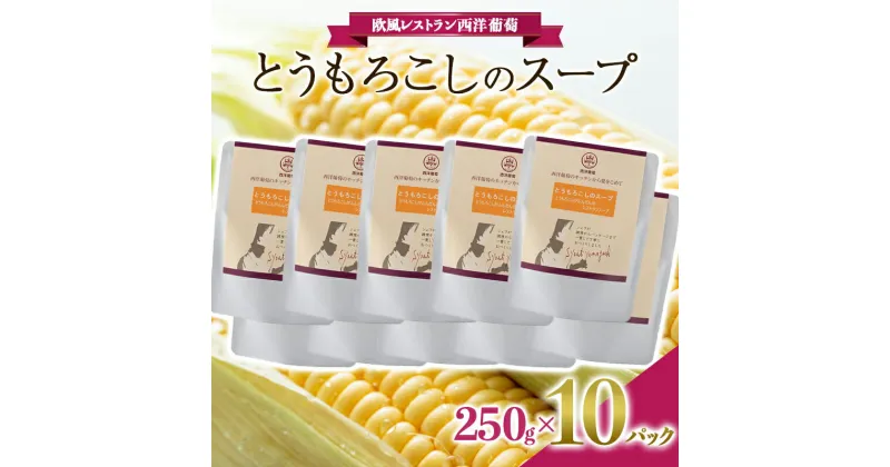 【ふるさと納税】 とうもろこしのスープ (250g×計10袋) 『欧風レストラン 西洋葡萄』 山形県 南陽市 [2005]