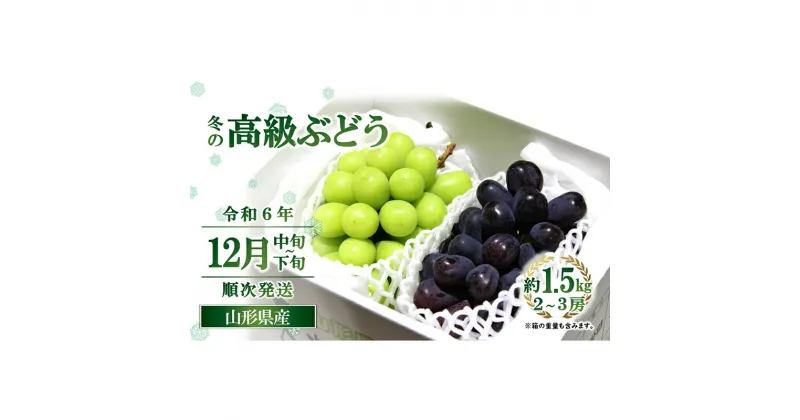 【ふるさと納税】 【令和6年産先行予約】 JA 冬の高級ぶどう (シャインマスカット・ウィンク) 約1.5kg (計2～3房 秀) 《令和6年12月中旬～下旬発送》 『JA山形おきたま』 山形県 南陽市 [2056]