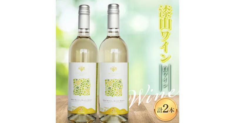 【ふるさと納税】 果樹園生まれの 「漆山ワイン (白ワイン)」 2本セット 750ml×2本 『漆山果樹園』 山形県 南陽市 [2078]