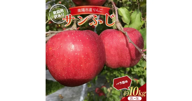 【ふるさと納税】 【令和6年産先行予約】 〈訳あり品 家庭用〉 りんご 「サンふじ」 約10kg (24～36玉) バラ詰め 《令和6年11月中旬～12月上旬発送》 『マルタニ農園』 リンゴ 山形県 南陽市 [1916]