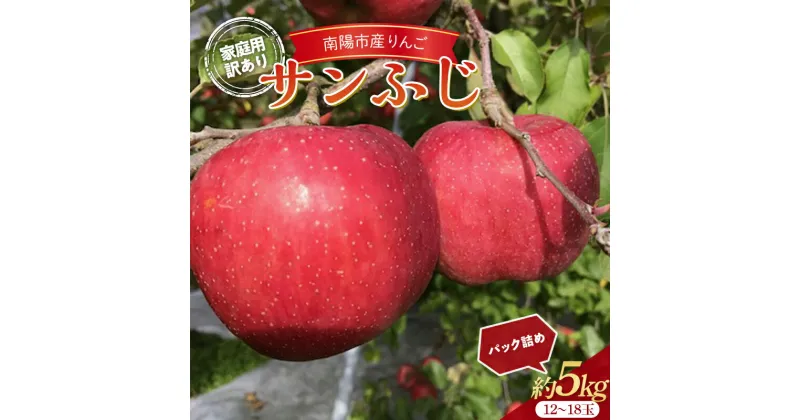 【ふるさと納税】 【令和6年産先行予約】 〈訳あり品 家庭用〉 りんご 「サンふじ」 約5kg (12～18玉) パック詰め 《令和6年11月中旬～12月上旬発送》 『マルタニ農園』 リンゴ 山形県 南陽市 [2159]