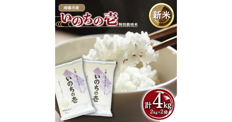 【ふるさと納税】【令和6年産 新米 先行予約】 【金賞受賞農家】 特別栽培米 いのちの壱 計4kg (2kg×2袋) 《令和6年10月中旬～発送》 『あおきライスファーム』 山形南陽産 米 白米 精米 ご飯 農家直送 山形県 南陽市 [1599-R6]