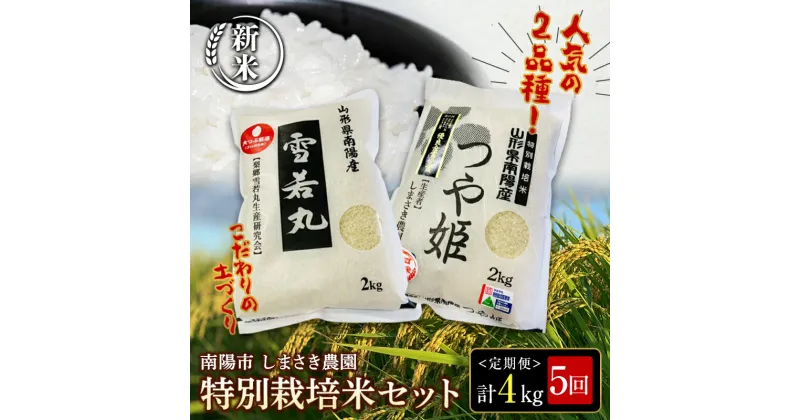 【ふるさと納税】【令和6年産 新米 先行予約】 【米食味コンクール金賞受賞農園】 《定期便5回》 特別栽培米セット定期便 「つや姫・雪若丸」 各2kg(計4kg)×5か月 《令和6年10月中旬〜発送》 『しまさき農園』 白米 精米 ご飯 農家直送 食べ比べ 山形県 南陽市 [1544-R6]