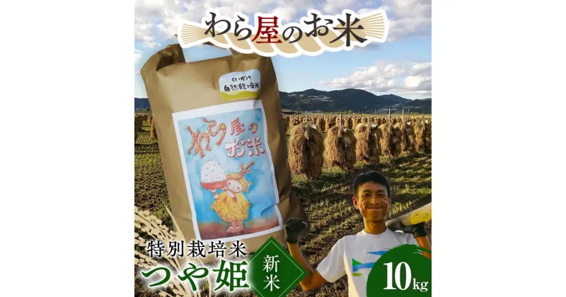 【ふるさと納税】 【令和6年産 新米 先行予約】 【わら屋のお米】 特別栽培米 つや姫 10kg 《令和6年10月下旬～発送》 『おがわ藁農園』 米 白米 精米 ご飯 農家直送 山形県 南陽市 [2168ーR6]