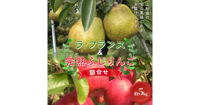 【ふるさと納税】 【令和6年産先行予約】 ラ・フランス & 完熟ふじりんご 詰合せ 約5kg (2L～3L) 《令和6年11月上旬～発送》 【全国りんご選手権 銀賞】 『船中農園』 山形県 南陽市 [2176]