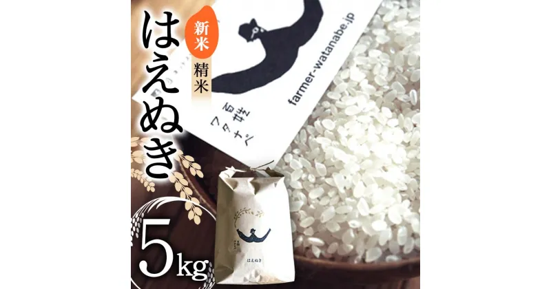 【ふるさと納税】【令和6年産 新米 先行予約】 はえぬき (精米) 5kg 《令和6年10月上旬～発送》 『最上園』 米 白米 ご飯 農家直送 山形県 南陽市 [1680-R6]