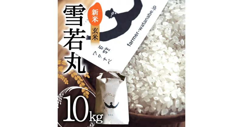 【ふるさと納税】【令和6年産 新米 先行予約】 特別栽培米 雪若丸 (玄米) 10kg 《令和6年9月中旬～発送》 『最上園』 米 ご飯 農家直送 山形県 南陽市 [2179-R6]