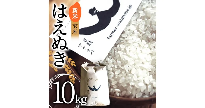 【ふるさと納税】【令和6年産 新米 先行予約】 はえぬき (玄米) 10kg 《令和6年10月上旬～発送》 『最上園』 米 ご飯 農家直送 山形県 南陽市 [2180-R6]