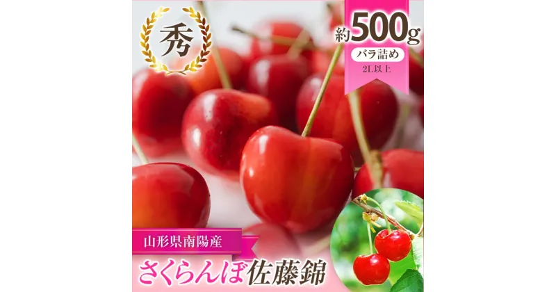 【ふるさと納税】【令和7年産先行予約】 さくらんぼ 「佐藤錦」 約500g (秀 2L以上) バラ詰め 《令和7年6月上旬～発送》 『生産者 佐藤 勇二』 サクランボ 果物 フルーツ 産地直送 生産農家直送 山形県 南陽市 [2234]