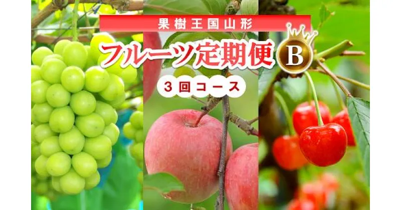 【ふるさと納税】 【令和7年産先行予約】 《定期便3回》 果樹王国山形 南陽のフルーツ定期便B 『マルエ青果』 果物 くだもの フルーツ 山形県 南陽市 [1494-R7]