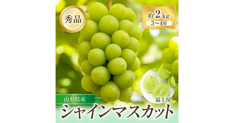 【ふるさと納税】 【令和7年産先行予約】 シャインマスカット 約2kg (3～4房 秀) 《令和7年9月上旬～発送》 『最上屋』 マスカット ぶどう 種なし 果物 フルーツ デザート 山形県 南陽市 [1102-R7]