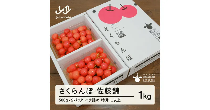 【ふるさと納税】 《先行予約》2025年 山形県産 さくらんぼ 佐藤錦 1kg(500g×2) バラ詰め(パック) 特秀 L以上 2025年6月中旬から順次発送 F20A-527 ※沖縄・離島への配送不可