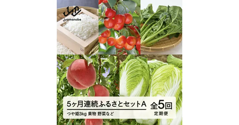 【ふるさと納税】山形県産 《5カ月連続》 産直 やまのべ温泉市 ふるさとセットA F20A-567 ※沖縄・離島への配送不可