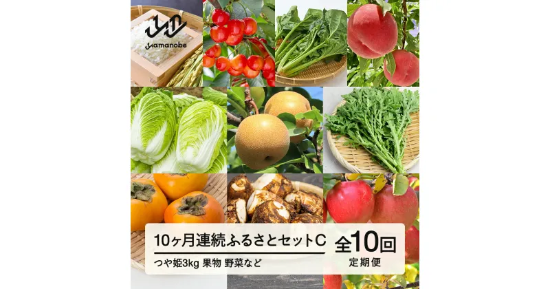 【ふるさと納税】山形県産 《10カ月連続》 産直 やまのべ温泉市 ふるさとセットC F20A-568 ※沖縄・離島への配送不可