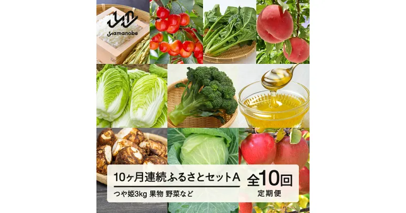 【ふるさと納税】山形県産 《10カ月連続》 産直 やまのべ温泉市 ふるさとセットA F20A-569 ※沖縄・離島への配送不可