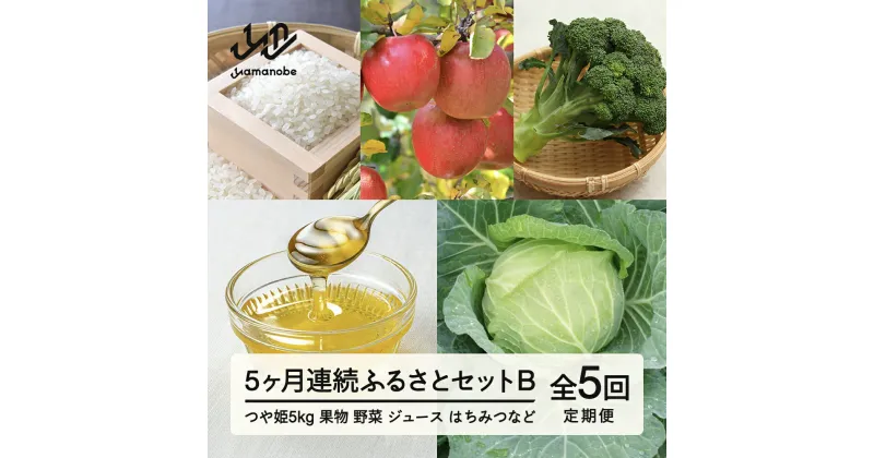 【ふるさと納税】山形県産 《5カ月連続》 産直 やまのべ温泉市 ふるさとセットB F20A-570 ※沖縄・離島への配送不可