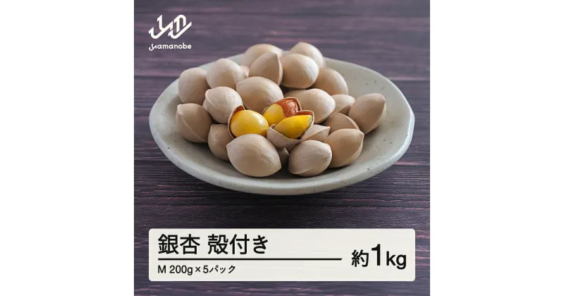 【ふるさと納税】 ≪先行予約≫2024年 山形県産 銀杏 殻付き M 約1kg（200g×5パック） 2024年10月上旬から順次発送 ぎんなん おつまみ 真空パック 個包装 小分け 秋 野菜 F20A-729