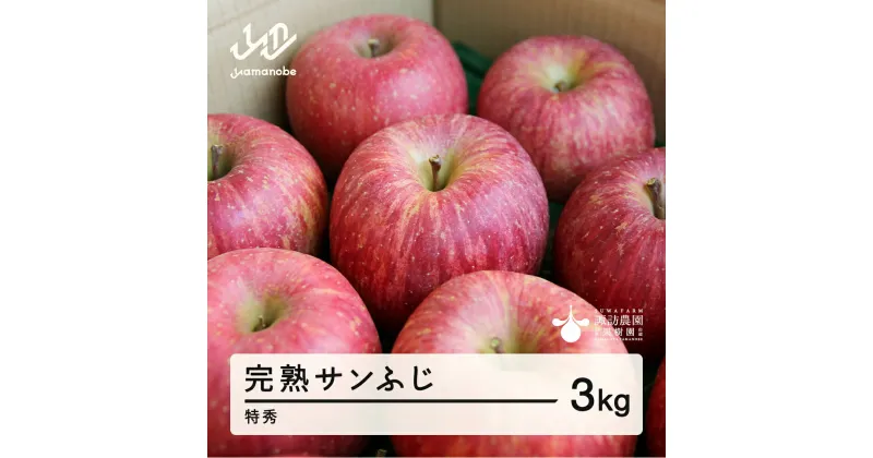 【ふるさと納税】 《先行予約》2024年 山形県産 完熟 サンふじ りんご 特秀品 3kg 7～12個 2024年12月上旬から順次発送 リンゴ フルーツ F20A-902