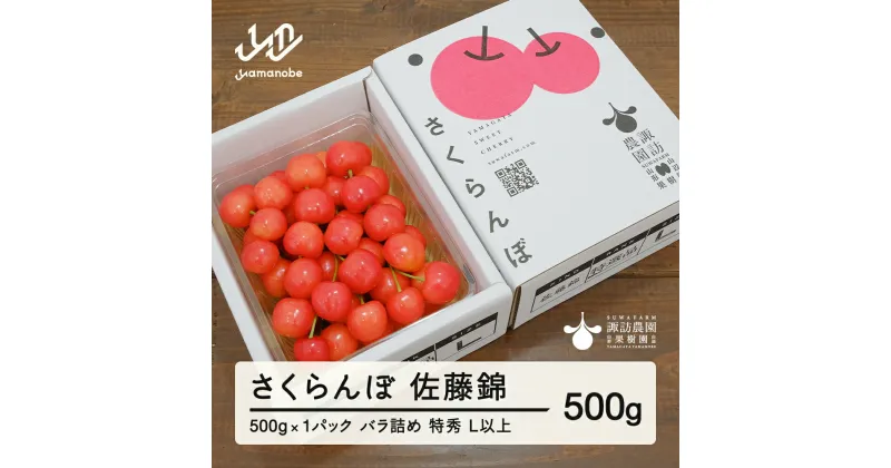 【ふるさと納税】 《先行予約》2025年 山形県産 さくらんぼ 佐藤錦 500g バラ詰め(パック) 特秀 L以上 2025年6月中旬から順次発送 F20A-904 ※沖縄・離島への配送不可