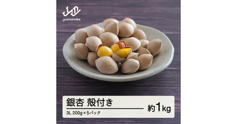 【ふるさと納税】 ≪先行予約≫2024年 山形県産 銀杏 殻付き 3L 約1kg（200g×5パック） 2024年10月上旬から順次発送 ぎんなん おつまみ 真空パック 個包装 小分け 秋 野菜 F20A-928